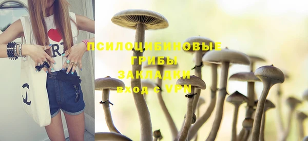 твердый Тавда