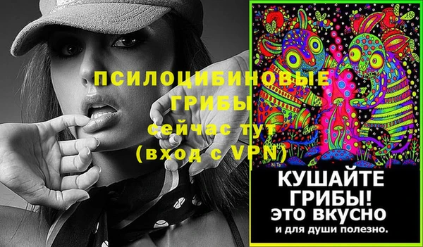 молекула духа Волосово