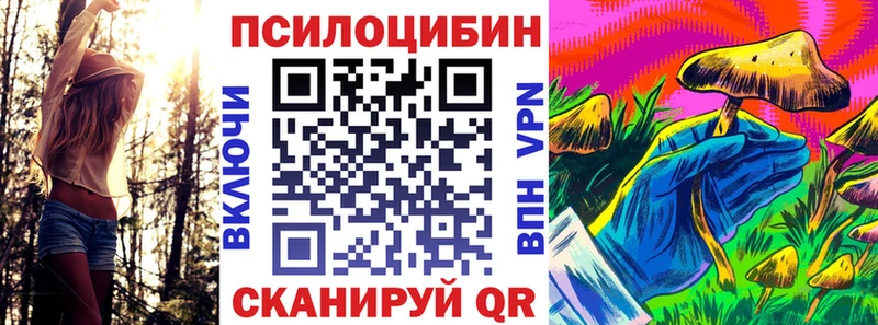 МЕГА вход  Шебекино  Галлюциногенные грибы MAGIC MUSHROOMS 