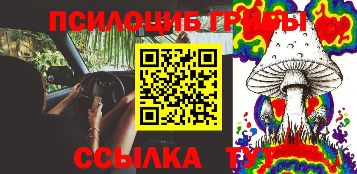 Галлюциногенные грибы Cubensis Шебекино